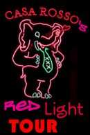 Casa Rosso Red Light District Tour in Amsterdam
